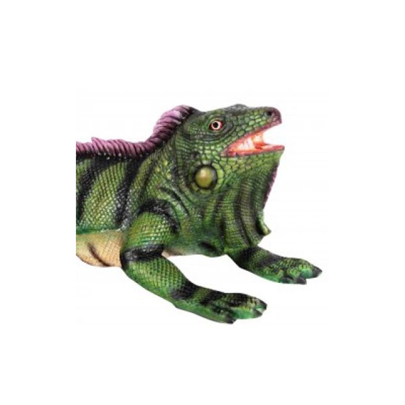 Small iguana