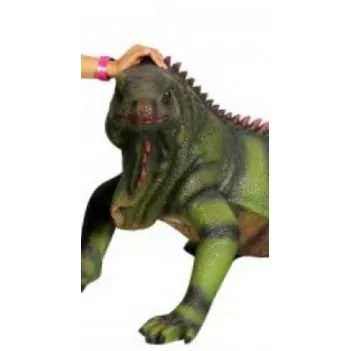 Large iguana