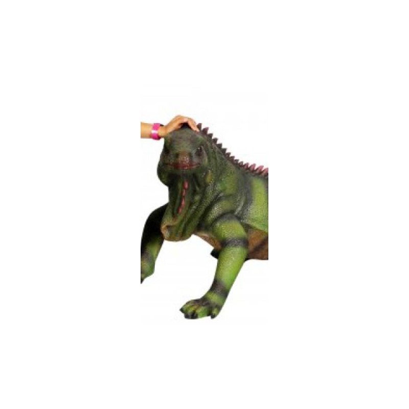 Duża Iguana