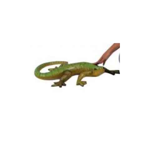 Petit Gecko