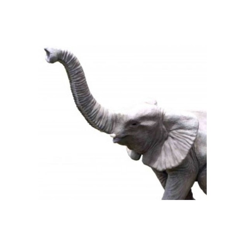 Éléphant qui marche