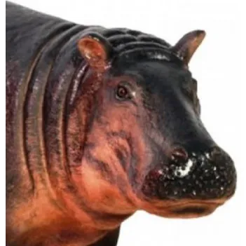 Dziecko Hipopotamie