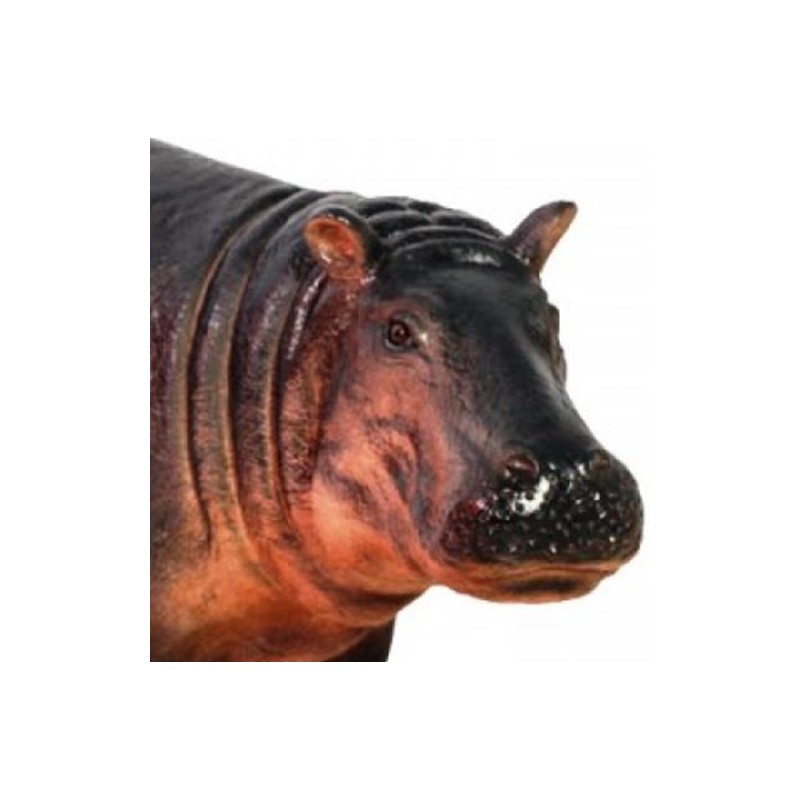 Dziecko Hipopotamie