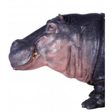 Hipopotam