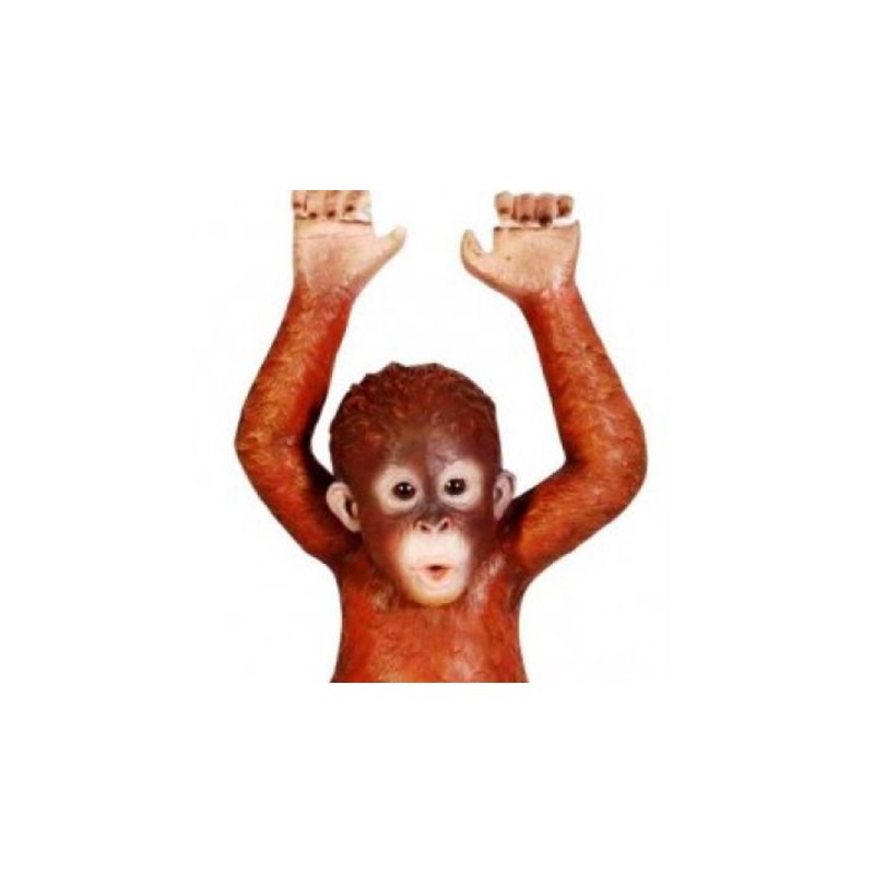 Wiszący młody orangutan