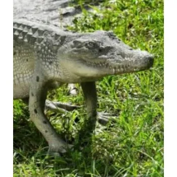 Figurine, statue, Petit...