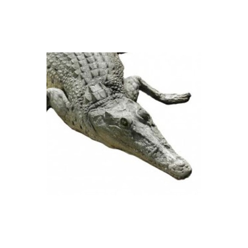 Ein ruhendes Krokodil