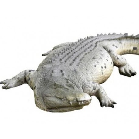 Ein riesiges Krokodil