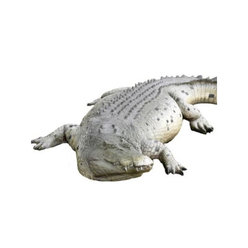 Un crocodile géant