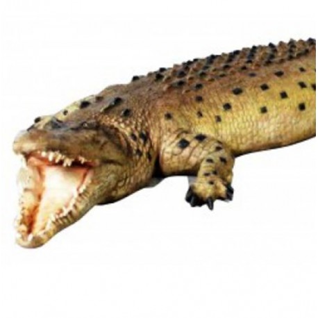 Ein großes Krokodil mit...