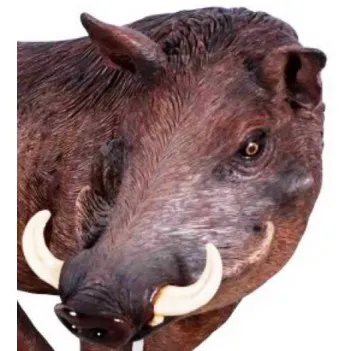 Africké prase bradavičnaté