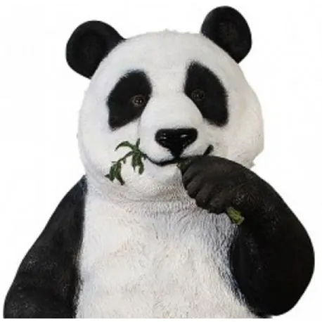 Jedząca Panda