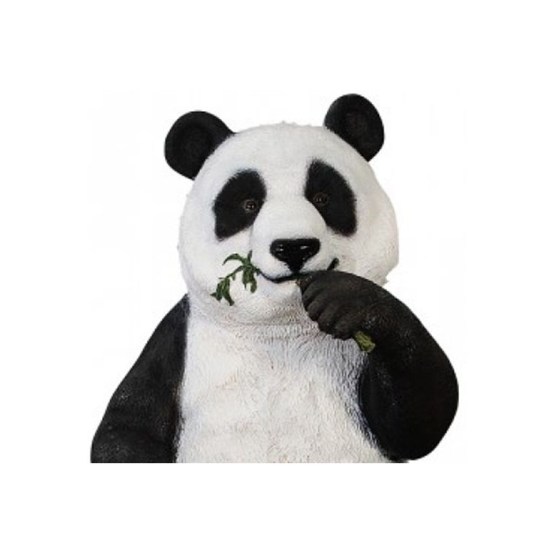 Jedząca Panda