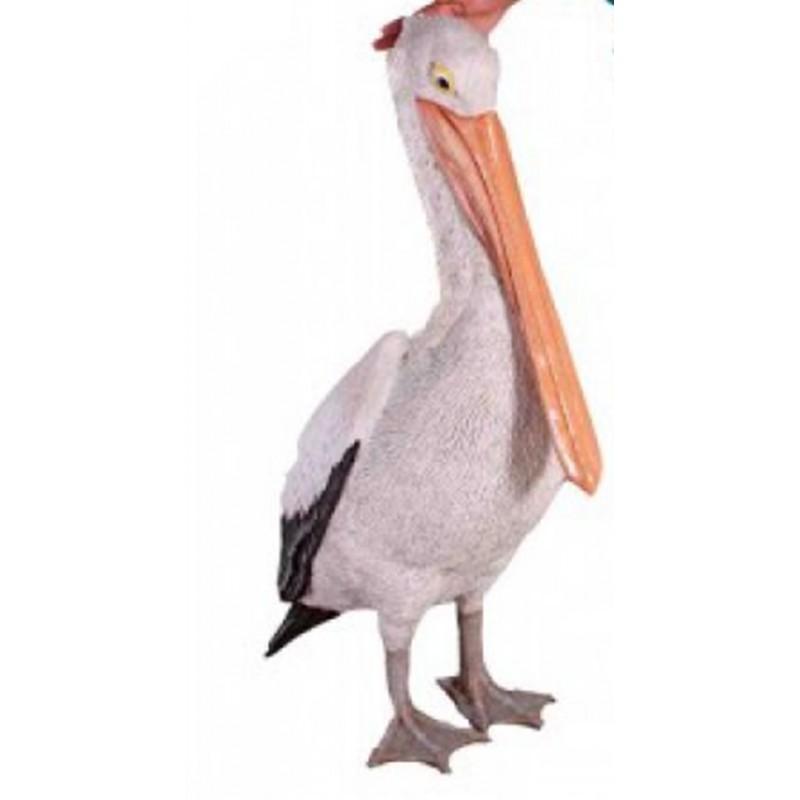 Standing Pelican