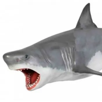 Un requin blanc suspendu