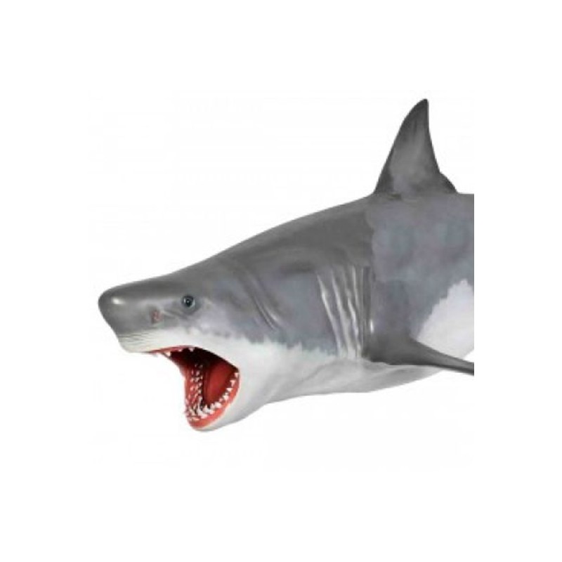 Белая акула висит