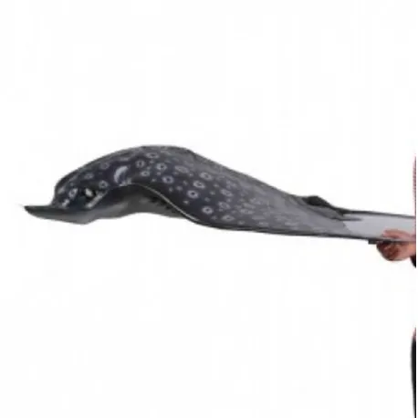 Gefleckter Adler