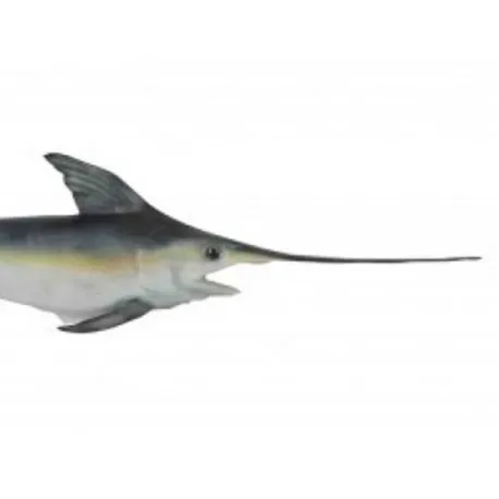 swordfish fish