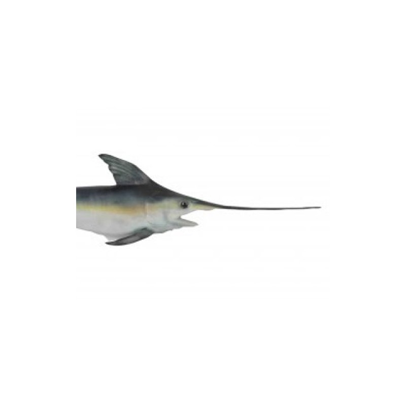 swordfish fish
