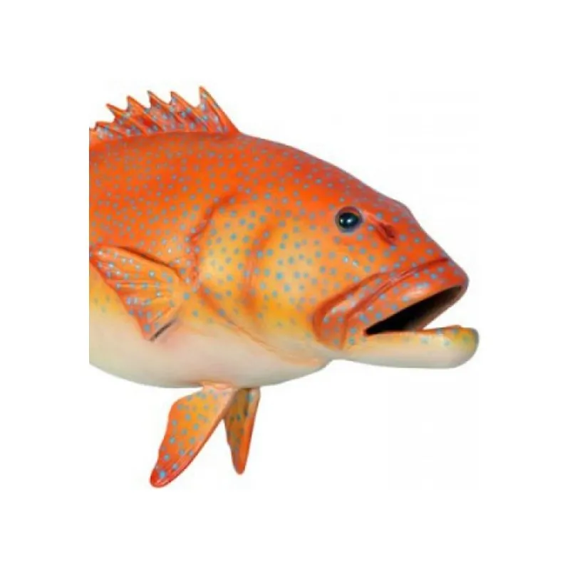 Coral Trout