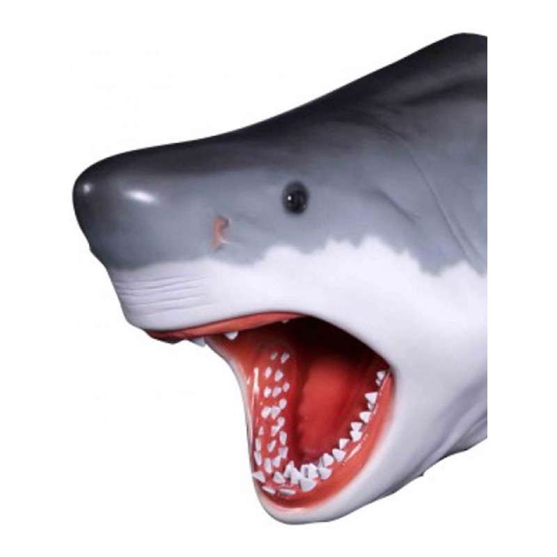 Grand requin blanc - tête