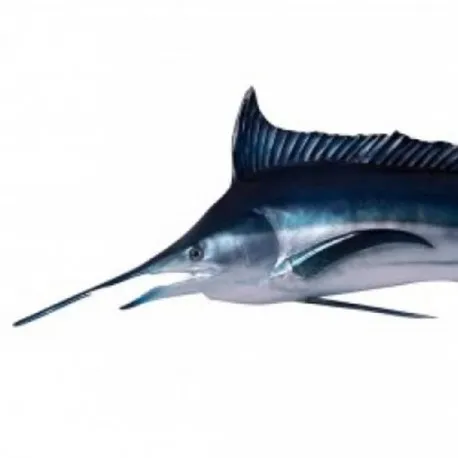 Merlin bleu