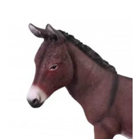 Brown donkey