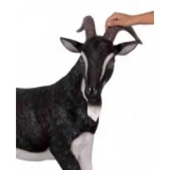 Chèvre noire et blanche