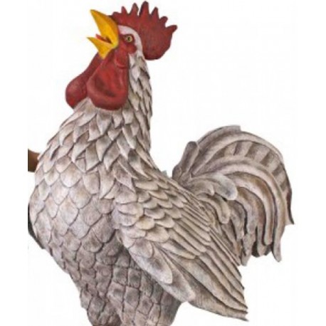 Colossal Barnyard Rooster