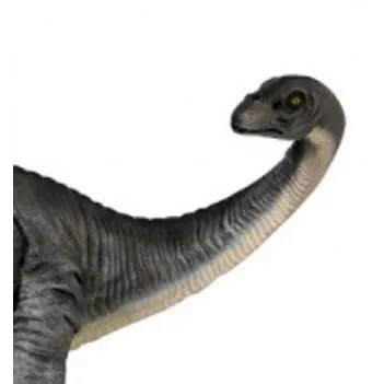 Apatosaurus