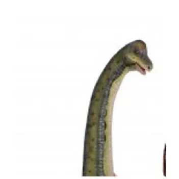 Décoration murale -...