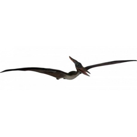 Visící mladý pteranodon