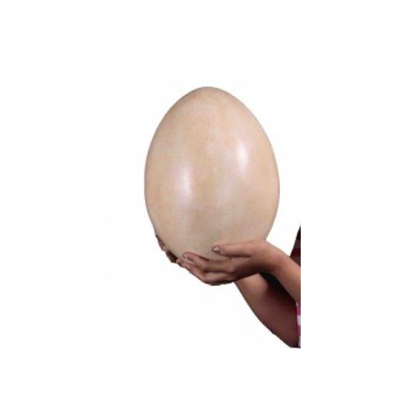Яйцо зауропода