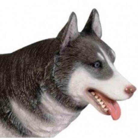 Husky