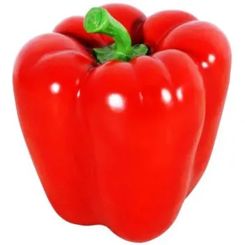 Large Red Bell Pepper