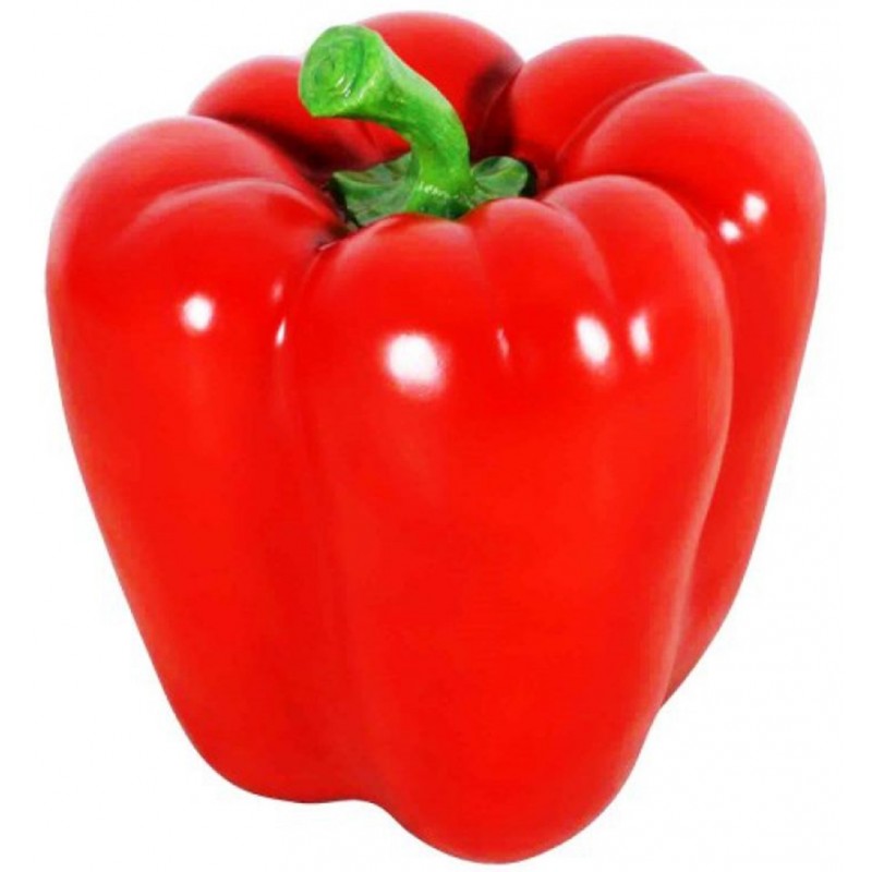 Velká červená paprika