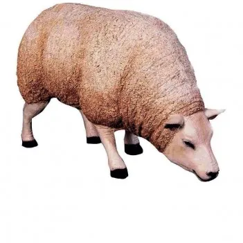 Brązowy Texelaar 