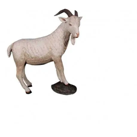 Cream Billy Goat