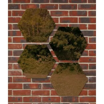 Hexagonal Acrylic Gold Garden Mirror Bronze