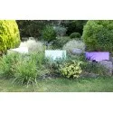 Medium Garden Mirror