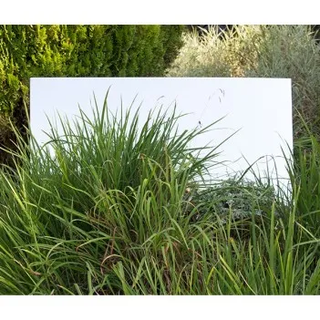 Medium Garden Mirror