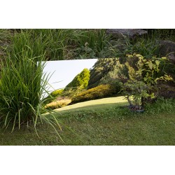 Large Narrow Garden Mirror