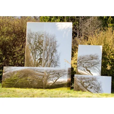 Large Gold Garden Mirror