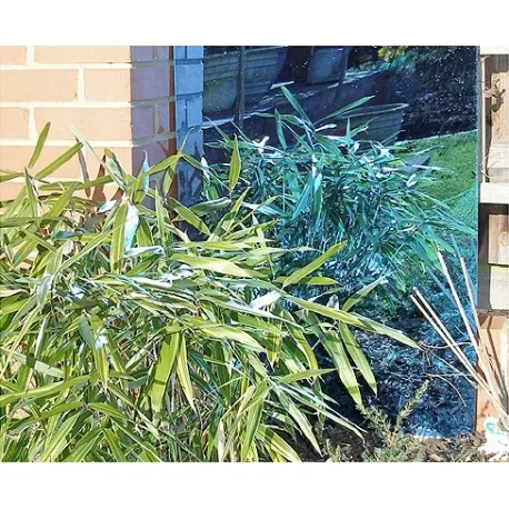 Medium Blue Garden Mirror