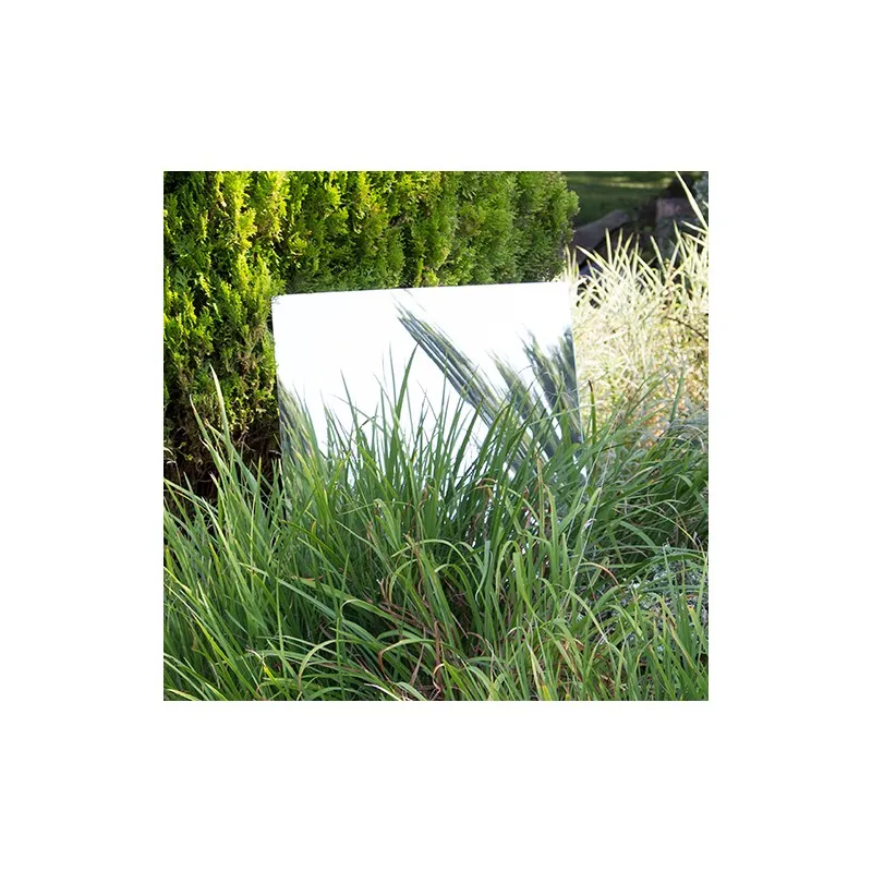 Small Rectangular Garden Mirror