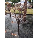 Zahrádní fontána měděná, Bonsai, výška 105cm